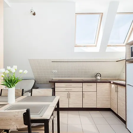 Pardalowka, Sun & Snow Daire Zakopane